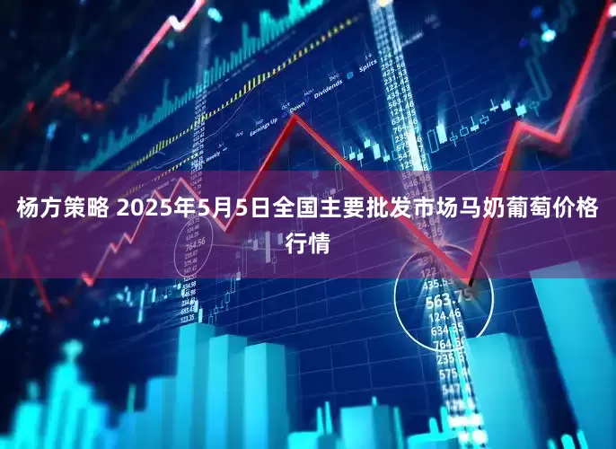 杨方策略 2025年5月5日全国主要批发市场马奶葡萄价格行情