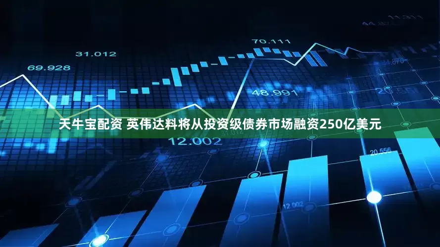 天牛宝配资 英伟达料将从投资级债券市场融资250亿美元